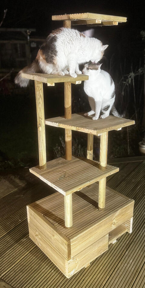 Garden Cat Towers