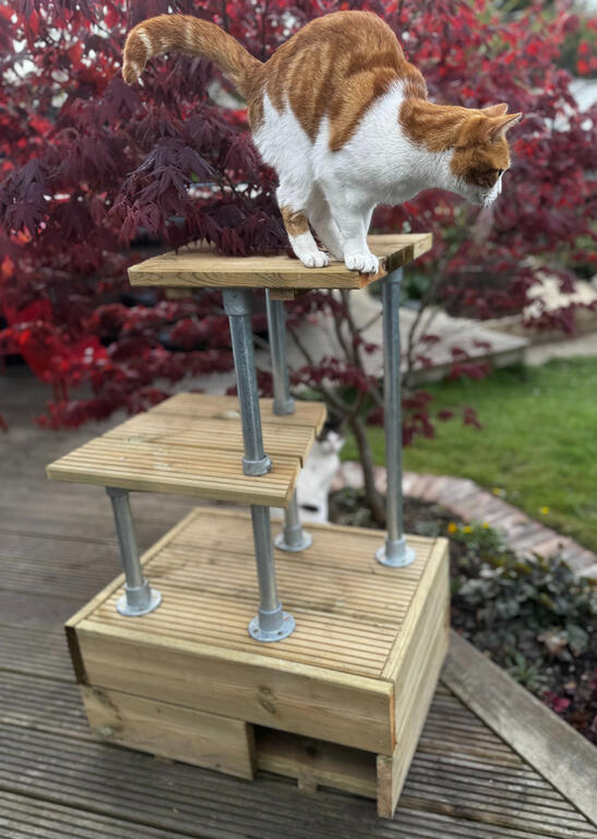 Garden Cat Towers